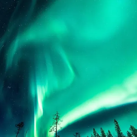 Apartman Arctic Circle 2